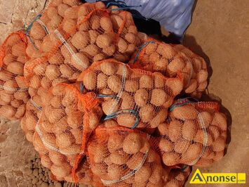 Anonse ZIEMNIAKI, Bellarosa.Jurek, Sprzedam ziemniaki jadalne bellarosa i Jurek cena 1.3 z. /kg ok.500kg. Tel..697293037, c.1,3z/kg. CIECIERZYN t