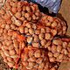 ZIEMNIAKI, Bellarosa.Jurek, Sprzedam ziemniaki jadalne bellarosa i Jurek cena 1.3 z. /kg ok.500kg. Tel..697293037, c.1,3z/kg. CIECIERZYN t