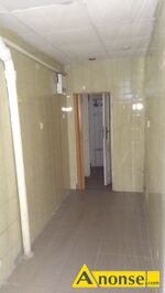Anonse LOKAL 25m<sup>2</sup>, CENTRUM, na dziaalno gospodarcz, moliwo podczenia internetu, wejcie bezporednio z ulicy, atrakcyjna lokalizacja, witr