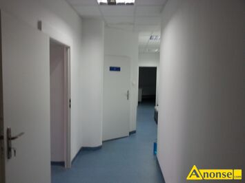 Anonse MALOWANIE SZPACHLOWANIE CYKLINOWANIE, Remonty solidnie naprawy polerka lakier cyklinowanie schodw tralek tanio materiay RADOM 728-120-79