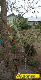 Anonse STUDNIE, dojazd, z materiaw wasnych lub powierzonych, Usuga profesjonalnego wykonania studni gbinowych. Instalacja pompy gbinowej, t