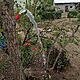STUDNIE, dojazd, z materiaw wasnych lub powierzonych, Usuga profesjonalnego wykonania studni gbinowych. Instalacja pompy gbinowej, t