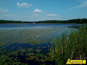 Anonse WDOWIEC, 55, romantyk, woda i przyroda, zainteresowania: wypoczynek nad jeziorem, Nad jeziorem . Z mi chci zapraszam woln kobiet do la