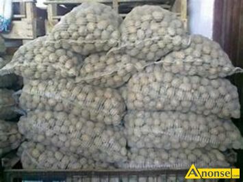 Anonse ZIEMNIAKI PASZOWE, MAM DO SPRZEDANIA ZIEMNIAKI PASZOWE PAKOWANE W WORKI PO 15kg CENA ZA 1kg/0,66z CZYLI WOREK 15kg/10z MOLIWO ZAKUPU MN