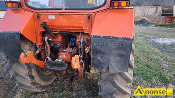 Anonse CIGNIK, MTZ, PRONAR/MTZ/Biaoru Cignik z 1997r. U mnie pracowa jako gwny ko pocigowy, zarwno z rozsiewaczem 1000kg, jak i rozrzutni