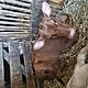 JAWECZKA, rasa MM, Jaweczka czterotygodniowa czerwona,pije z wiaderka, c.1.900z. BRZEZINKI NOWE