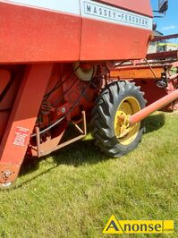 Anonse KOMBAJN, zboowy, MASSEY FERGUSON, Massey ferguson 186 stan bardzo dobry gotowy to sezonu posiada orginaln sieczkarni MF komplet, sit hede