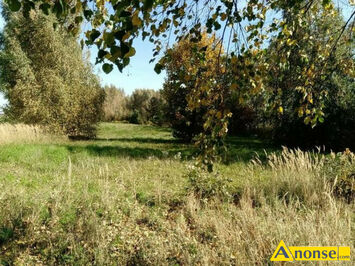 Anonse NACZW CHARZ A, dziaka 17a, budowlana, Sprzedam dziak budowlan w Naczowie pow. 17 arw obrb geodezyjny CHARZ A Nr. 707 Cena 190 000