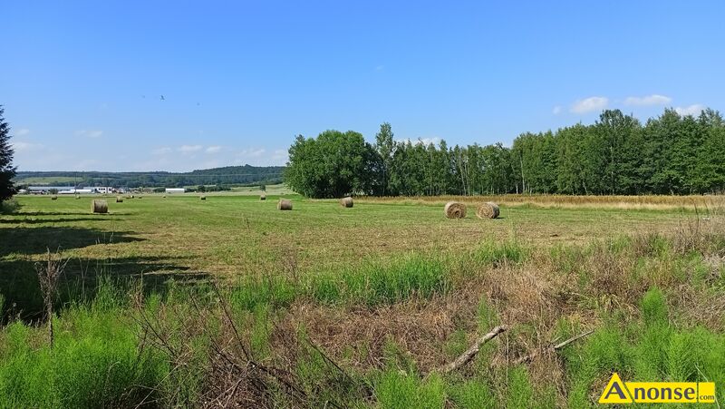 PASTURKAA , dziaka 1307m<sup>2</sup>, budowlana opis dodatkowy: Budownictwo jednorodzinne 