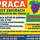 PRACOWNIK, Praca przy zbiorach winogron we Francji. Zgo si wraz z ekip Praca ju od 25 sierpnia na ok.2 tyg. Bezpatne zakwaterowanie, w