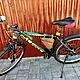 ROWER, grski, ALPINA, Sprzedam rower grski 26 cali Alpina, stan dobry, c.450z. WACYN 48