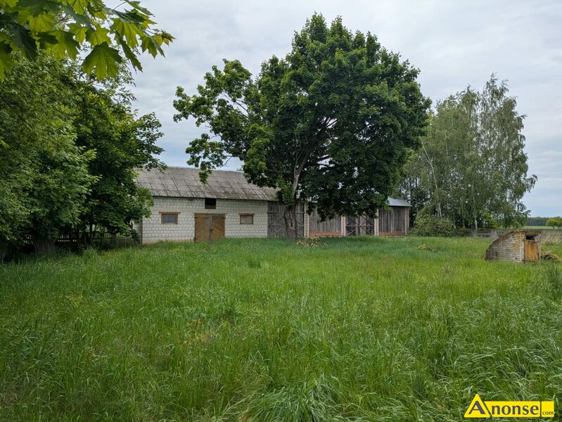 STJKA , gospodarstwo 1.07ha opis dodatkowy: Sprzedam gospodarstwo o pow. 1,07 ha. Miejscowo Stjka, gmina Czemierniki, powiat Radzy Podlaski. Sprzedaj gospodarstwo z zabudowaniami dom drewniany, obora i stodoa murowana. Dziaka jest ogrodzona, cicha i spokojna okolica, blisko las. Moliwo dokupienia gruntw.  - image 1