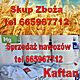 ZAKUPI: yto, Kupi yto pszenic pszenyto jeczmie rzepak kukurydz . tel 665967712 WINICE WARCKIE