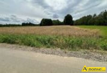 Anonse - DRZEWCE-KOLONIA, działka 5793m<sup>2</sup>, budowlano-rolna, c.210.000zł. DRZEWCE-KOLONIA Anonse DRZEWCE-KOLONIA, działka 5793m<sup>2</sup>, budowlano-rolna, c.210.000zł. DRZEWCE-KOLONIA