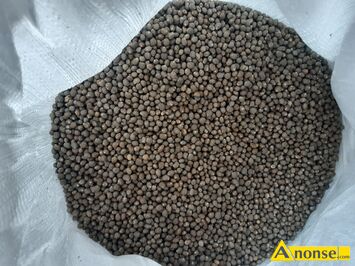 Anonse - ŁUBIN, Sprzedam lubin.Ĺozne ga Niski.wysoki Bialy Żółty Niebieski Mam też ladna wyke jara Gorczyce Facelie Gryke Rzodkiew oleista Pestke Anonse ŁUBIN, Sprzedam lubin.Ĺozne ga Niski.wysoki Bialy Żółty Niebieski Mam też ladna wyke jara Gorczyce Facelie Gryke Rzodkiew oleista Pestke