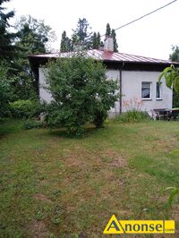 Anonse PODGÓRZE, dom 92m<sup>2</sup>, wolno stojący, na działce 6500m<sup>2</sup>, do zamieszkania od zaraz, do zamieszkania, pokoje: 3, ocieplony, umeblowany, drzewa ow
