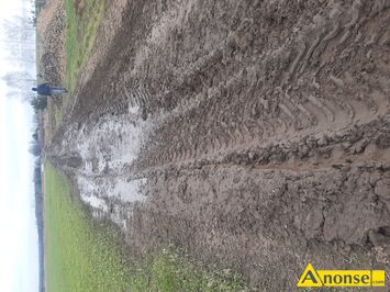 Anonse PRZYJMĘ, Ziemie do zasypania dolu.każdą ilośc.okolice Szydłowca.wazd na dzialke z asfaltowej drogi.. SKARŻYSKO-KAMIENNA