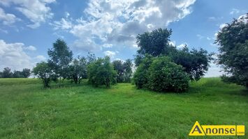 Anonse - WOJEWÓDZTWO LUBELSKIE, działka 12m<sup>2</sup>, rolna, Działki rolne woj. lubelskie, od 19 tys. zł/ha Sprzedam działki rolne w województwie lubelskim ( Anonse WOJEWÓDZTWO LUBELSKIE, działka 12m<sup>2</sup>, rolna, Działki rolne woj. lubelskie, od 19 tys. zł/ha Sprzedam działki rolne w województwie lubelskim (