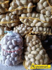 Anonse - ZIEMNIAKI, Irga, noja, workowany 15kg c po 15zl Tel 517xxx749xxx978, c.15zł. RAWICA NOWA Anonse ZIEMNIAKI, Irga, noja, workowany 15kg c po 15zl Tel 517xxx749xxx978, c.15zł. RAWICA NOWA