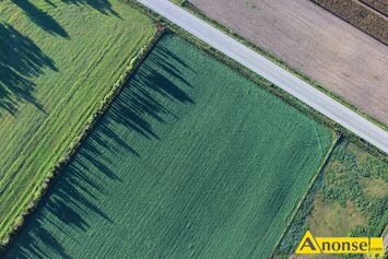 Anonse WAPNO, Kreda nawozowa Granucal Omya luzem. Posiadamy w sprzeday nawz wapniowy Granucal marki Omya dostpny luzem. Produkt wytwarzany jest