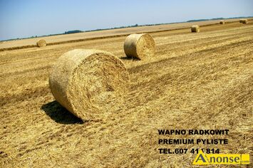 Anonse WAPNO, Posiadamy w sprzeday wapno wglanowo magnezowe Radkowit Premium z Kopalni Holcim Radkowice o wysokiej zawartoci wapnia i magnezu: C