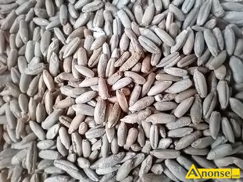 Anonse YTO, Sprzedam yto, zbir 2025, c.75z. BATW