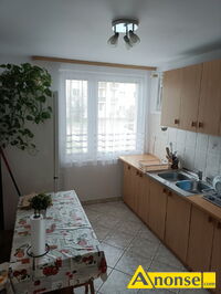 Anonse JAGIELLO�SKIE, pok�j 17m<sup>2</sup>, dla os�b niepal�cych, dobry dojazd do wszystkich uczelni, internet, umeblowany, dost�p do kuchni, blisko przystan