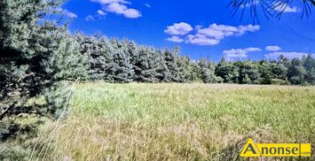 Anonse KOLONIA PIASKI 70, dzia�ka 2500m<sup>2</sup>, budowlano-rolna, Atrakcyjna dzia�ka pod budow� domu.szeroka pod lasem NA sprzeda� dzia�ka rolno budowlana