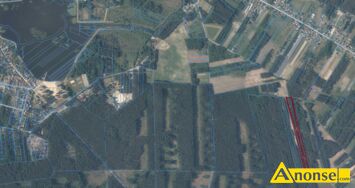 Anonse S�OPIEC, dzia�ka 29600m<sup>2</sup>, budowlana, nr 1170 szeroko�� 44 m, d�ugo�� 672 m. 19 km od Kielc, 2 km od zalewu w Borkowie. Ca�a dzia�ka obj�ta o