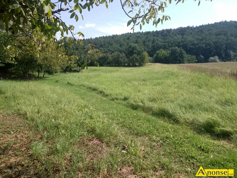 BABICA , dzia�ka 19a, budowlano-rolna opis dodatkowy: Sprzedam dzia�k� w Babicy w centrum miejscowo�ci (blisko szko�y podstawowej). W pobli�u sklep, przystanek PKP i PKS.  - image 1