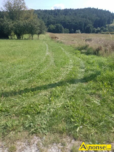 BABICA , dzia�ka 19a, budowlano-rolna opis dodatkowy: Sprzedam dzia�k� w Babicy w centrum miejscowo�ci (blisko szko�y podstawowej). W pobli�u sklep, przystanek PKP i PKS. 