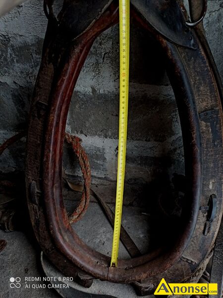 chom�to  opis dodatkowy: u�ywane o wymiarach 33x59 cm, w komplecie z postronkami, pasem nagrzbietowym, noszelnikiem i w�dzid�ami  oraz podk�adem. Stan uprz�y jest gotowy do natychmiastowego u�ytku. stan przedmiotu transakcji: stan bardzo dobry - image 1