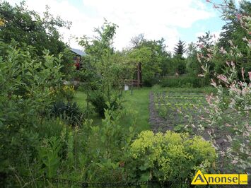 Anonse GLINICE, dzia�ka 298m<sup>2</sup>, rekreacyjna, wjazd z drogi asfaltowej, z budynkami, mo�liwo�� pod��czenia pr�du, woda, Dziaka ROD na ogr�dkach Dzia�