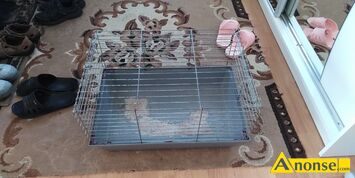 Anonse KLATKA, d�-56 szer-36 wys-34 cm, c.30z�. RADOM