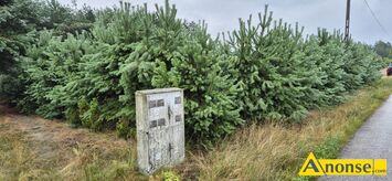 Anonse LEWASZ�WKA GM.JASTRZ�BIA, POW.RADOM, dzia�ka 2939m<sup>2</sup>, budowlana, wjazd z drogi asfaltowej, przy g��wnej drodze, pierwsza w pasie zabudowy, sp