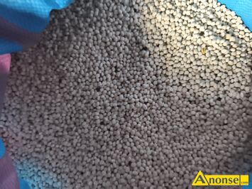 Anonse �UBIN, �ubin gorzki oskar, c.130z�. GZOWICE