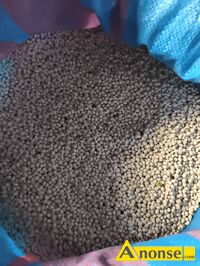 Anonse �UBIN, �ubin gorzki Oskar, c.130z�. GZOWICE