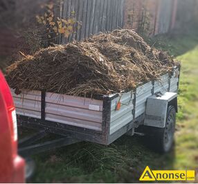 Anonse - OBORNIK, Koński, c.50zł/m<sup>3</sup>. KRASIENIN-KOLONIA Anonse OBORNIK, Koński, c.50zł/m<sup>3</sup>. KRASIENIN-KOLONIA