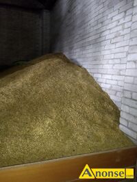 Anonse OWIES, Sprzedam owies du�� ilo��, c.60z�/q. GULIN