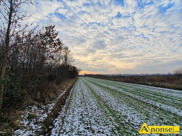 Anonse PARZNICE, dzia�ka 4995m<sup>2</sup>, rolna, Sprzedam dzia�k� roln� w Parznice gmina Kowala telefon kom�rkowy do mnie 889373624, c.35.000z�. PARZNICE