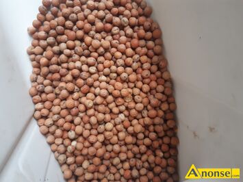 Anonse PELUSZKA, Milwa, Sprzedam �adn� peluszke.milwe.czysta.sucha.bez robaka Posiadam tez lubin.seradele i inne Zboze ozime i jare Cena podana za