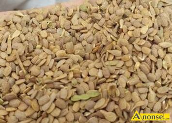 Anonse SERADELA, W PIERWSZEJ KLASIE JAKO�CIOWEJ, �ADNA, Z OSTATNIEGO ZBIORU 2024 cena.12z�/kg T.537/354/499 ZAKRZEW K.RADOMIA, c.12z�. ZAKRZEW 53