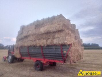 Anonse S�OMA, w kostkach, Sprzedam s�om� owsiana cena 5z� w kostkach du�e kostki tego roczne 2025r mam tez zytni� czysta bardzo du�e kostki Kazimie