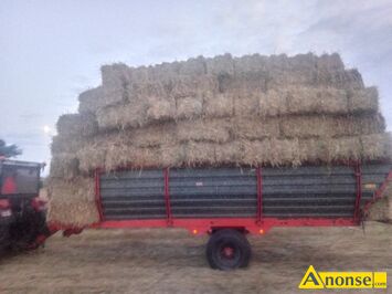 Anonse S�OMA, �ytnia, w kostkach, Sprzedam S�oma bardzo du�e kostki ma�o spotykane takie kostki Tego roczna czysta s�oma �ytnia po �ycie Dankoskie