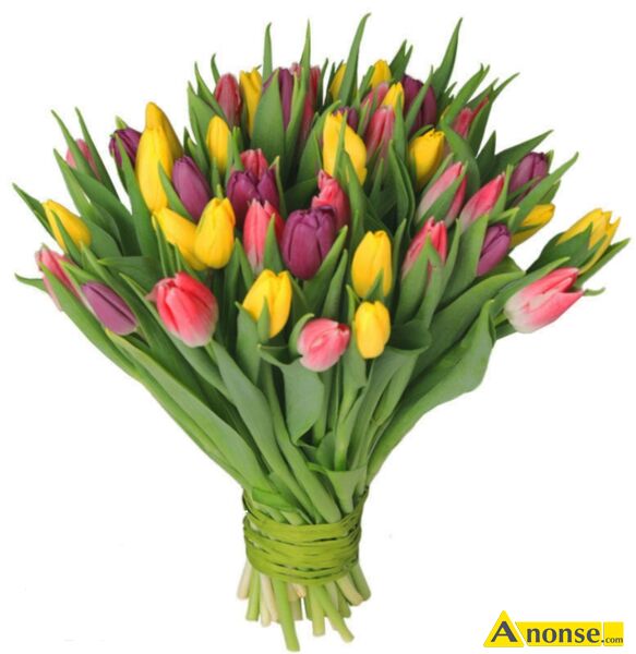 sprzedawca  opis dodatkowy: Zatrudni� sprzedawczyni� lub sprzedawc� do lekkiej pracy handlowej przy sprzeda�y kwiat�w w weekendy. 
Braci Wieniawskich, Wile�ska, Jutrzenki. 
23 z� za godzin� na r�k�, oko�o 10 godzin dziennie. 
P�atne nast�pnego dnia po pracy.