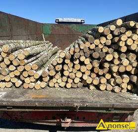 Anonse STEMPLE BUDOWLANE BRZOZOWE NOWE, MAM DO SPRZEDANIA STEMPLE BUDOWLANE BRZOZOWE 2,7m/8z�, 3m/9z�, 3,5m/11z�, 4m/13z� T.537<sup>3</sup>354<sup>3</sup>499 ZAKRZEW K.R