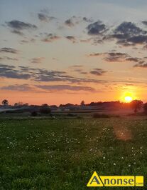 Anonse TANIO, dzia�ka 1000m<sup>2</sup>, rolna, c.11.000z�. DZIARNO