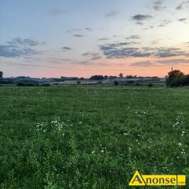 Anonse WIDOKOWA, dzia�ka 1950m<sup>2</sup>, rolna, pierwsza w pasie zabudowy, wjazd z drogi asfaltowej, przy g��wnej drodze, mo�liwo�� pod��czenia pr�du, mo�l