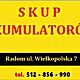 ZAKUPI�: z�om, Jeste�my firm� zajmuj�c� si� skupem zu�ytych akumulator�w o�owiowych, �elowych oraz baterii trakcyjnych. Obs�ugujemy firmy ja