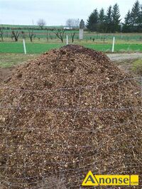 Anonse ZR�BKA,ZR�BKA, BEZ ZANIECZYSZCZE�, Z DRZEW LI�CIASTYCH, WI�KSZA ILO��, POD BOR�WK� AMERYKANSK�, DRZEWKA OWOCOWE LUB NA OPA� ITP. PODANA CENA